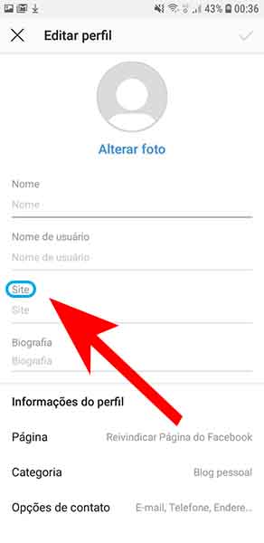 Printscreen da aba editar perfil, com lista de espaços disponíveis para preencher as informações.